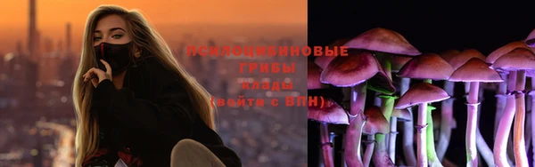 mdpv Алзамай