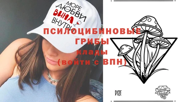 apvp Алексеевка