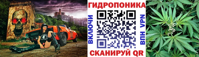 Канабис Amnesia  как найти   Жирновск 
